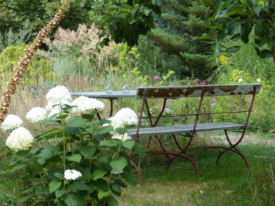 2018-07-20 Gartenimpressionen 8.jpg