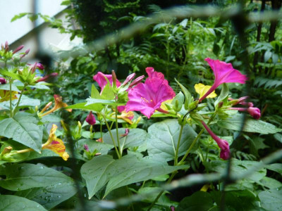 1P1070676.JPG