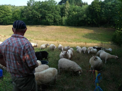 büwiesennachzug2018.jpg