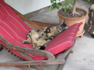 AnstrengendeNacht.png