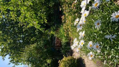 20180627_114354_HDR.jpg