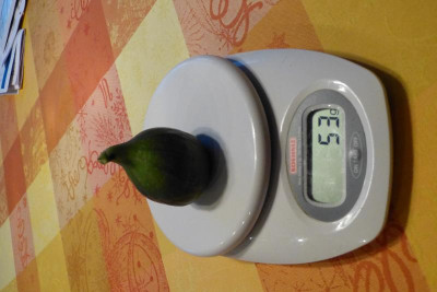 P1050149.JPG