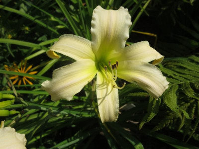 GT11-GA32e_7237.jpg