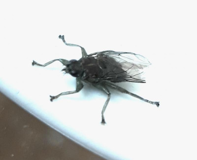 20180723_123832.jpg