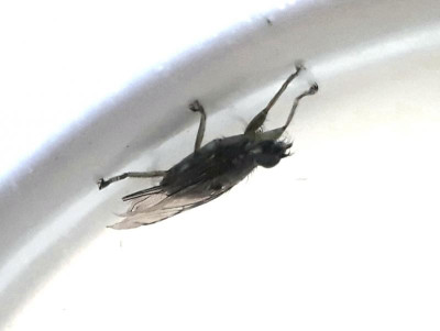 20180723_123524.jpg