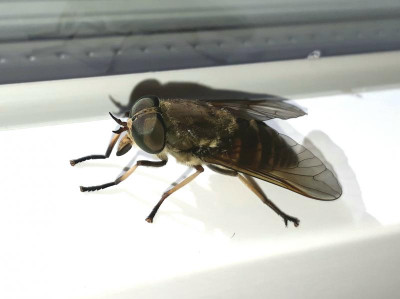 20180714_180740.jpg
