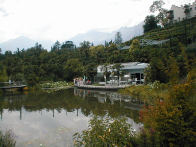 teich2.jpg