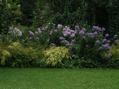 P7220138.JPG
