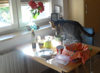liese07.jpg