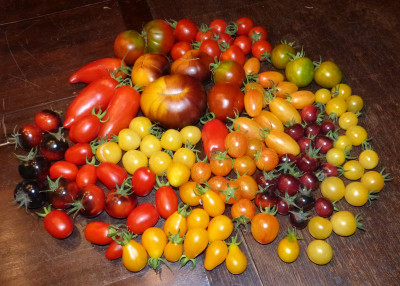 2018-07-25 Tomaten.jpg