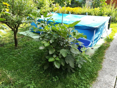 IMG_20180725_172116.jpg