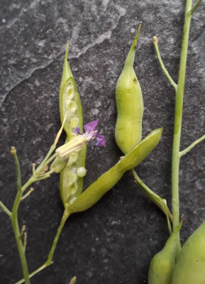 20180726_173059.jpg