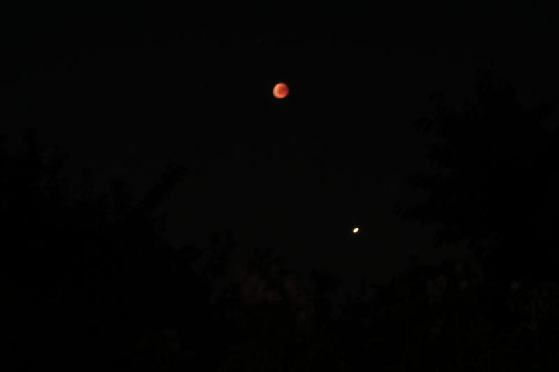 IMG_2682.JPG