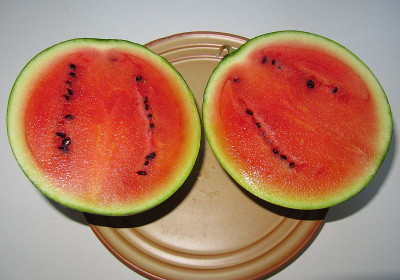 IMG_3551_Melone_29Juli2018_.jpg