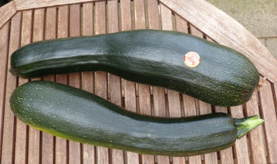 2018-07-29 Zucchini.jpg
