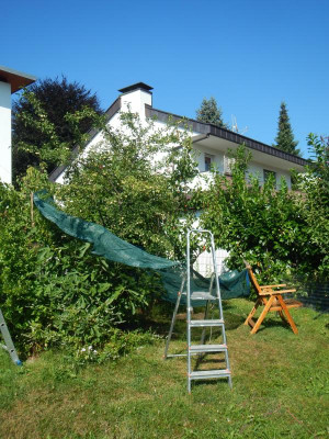 DSCN8008.JPG