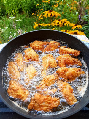Chicken.jpg