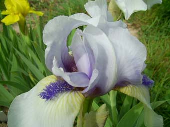 Tumwater_PIC_0521.JPG