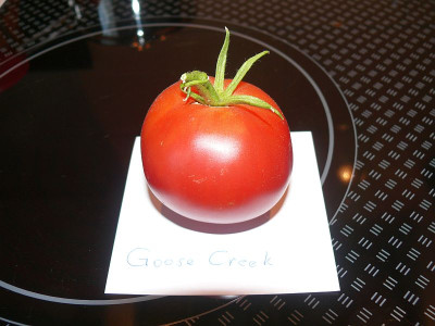 180731_Goose Creek_1.jpg