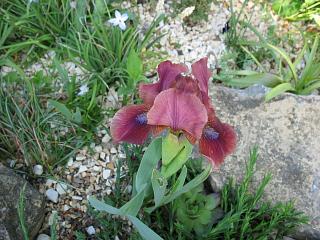 IMG_3407.JPG