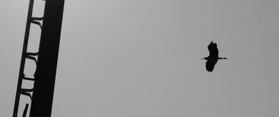 Minimalflug.jpg