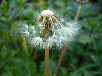 25.04.2007.1.JPG