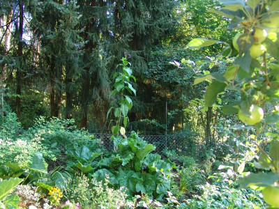DSC02731.JPG