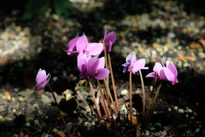 DSCF6688_3348.JPG