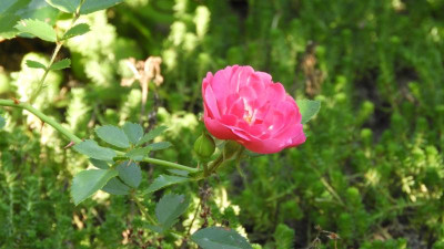 DSCN3573.JPG