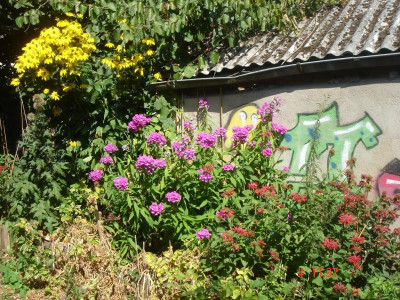DSC05392.JPG