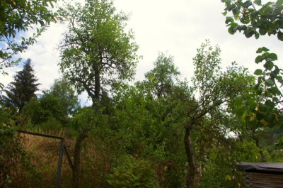 K5115302.jpg