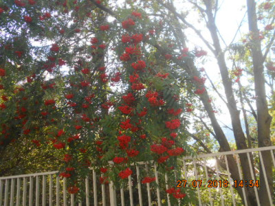 DSCN4722.jpg