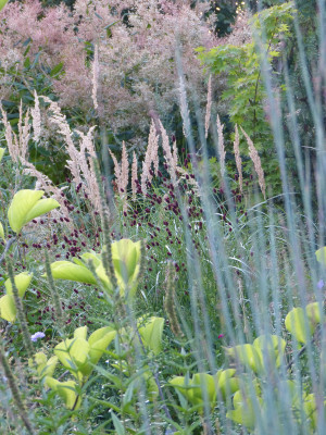 2018-08-05 Gartenimpressionen 5.jpg
