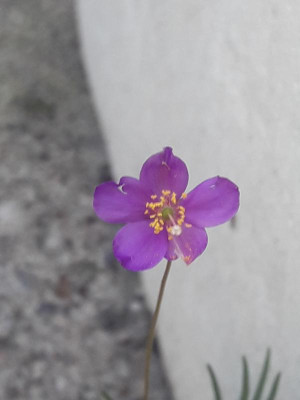 20180805_160656.jpg