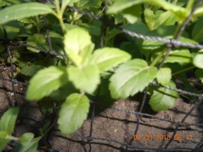 DSCN4947.JPG