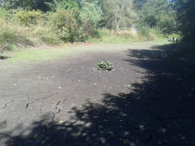 20180806_150806.jpg