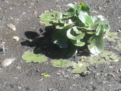 20180806_151056.jpg