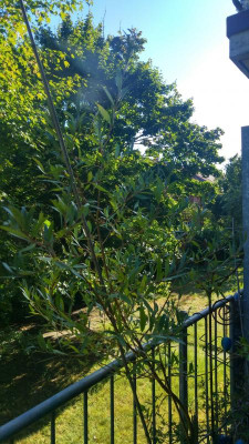 20180806_175049_HDR.jpg