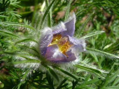 26.04.2007.3.JPG