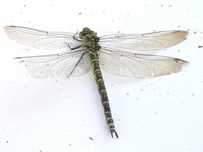 DSCF5488.JPG