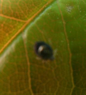 DSCN1291.jpg