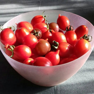 20180809_Wintertomaten.jpg
