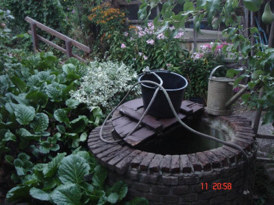 DSC05414.JPG