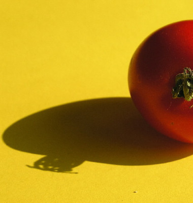 Tomate-Paradeiser-B.jpg