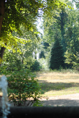 Pfaueninsel2018_08_12_001.jpg