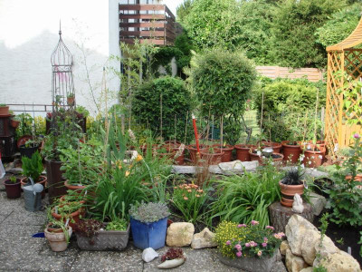 garten1.jpg