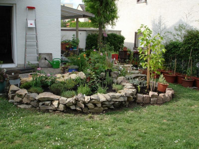 garten4.jpg