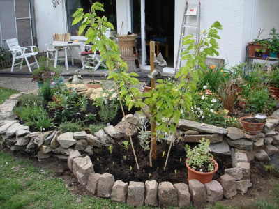 garten5.jpg