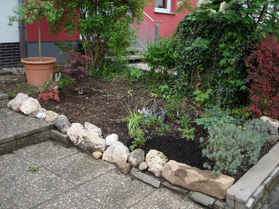 vorgarten2014aaa.jpg