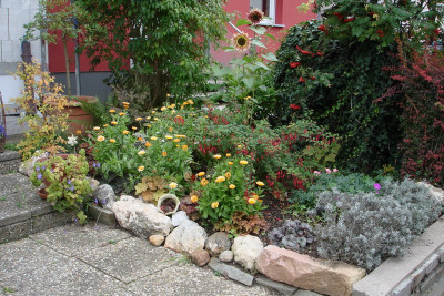 vorgarten2014ba.jpg